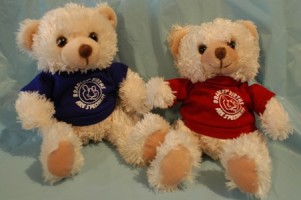 CYNTHIA PADILLA CHAVEZ